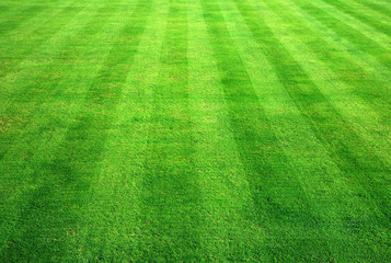 Choose Crewe Turf Suppliers to deliver and lay your lawn